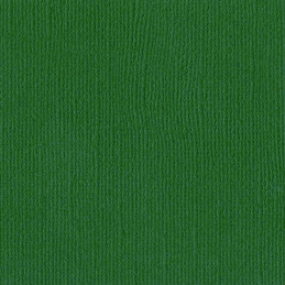Cartulina básica texturizada Bazzill canvas - classic green.