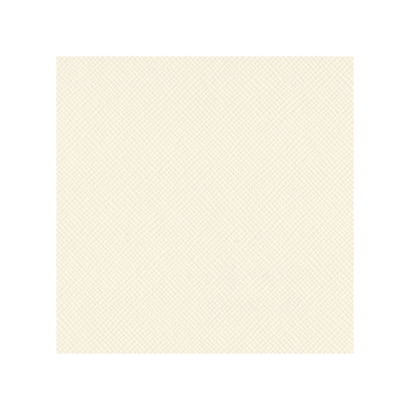 Cartulina básica texturizada Bazzill canvas - Cream Puff.