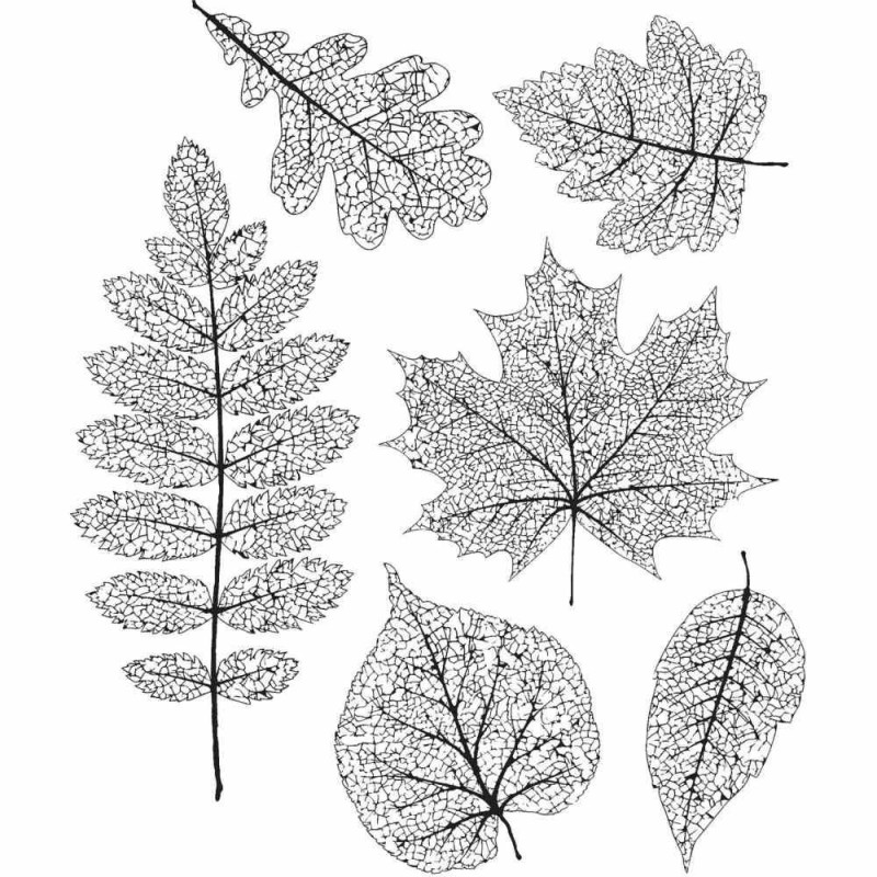 Kit de sellos de Tim Holtz - Pressed Foliage