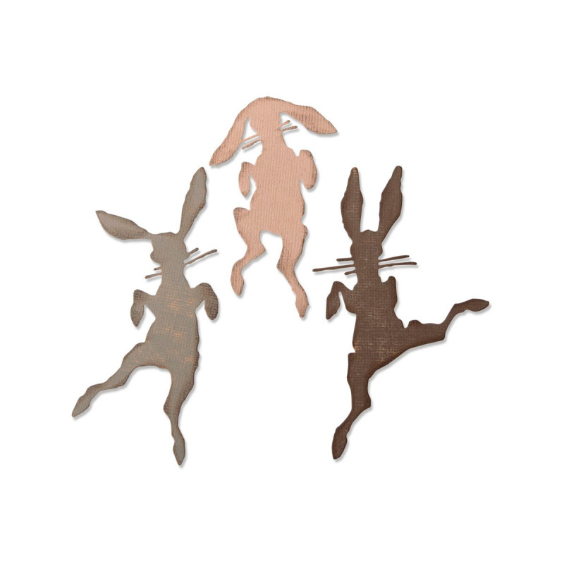 Set 3 troqueles Sizzix THINLITS Bunny hop by Tim Holtz