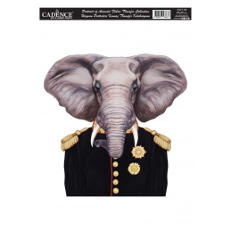 Transfer Cadence 25 x 35 Animal Portrait - Elefante