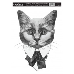 Transfer Cadence 25 x 35 Animal Portrait - Gato
