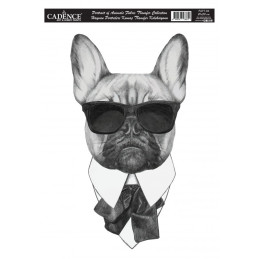 Transfer Cadence 25 x 35 Animal Portrait - Perro con gafas