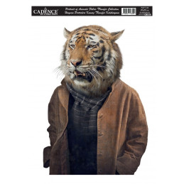 Transfer Cadence 25 x 35 Animal Portrait - Tigre
