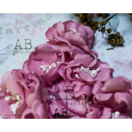 Kit de flores ABstudio "pink lady"