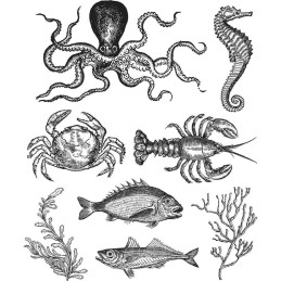 Kit de sellos de Tim Holtz - Sea Life