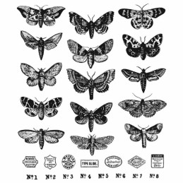 Kit de sellos de Tim Holtz - Moth Study