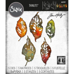 Set 5 troqueles Sizzix THINLITS Leaf fragments by Tim Holtz
