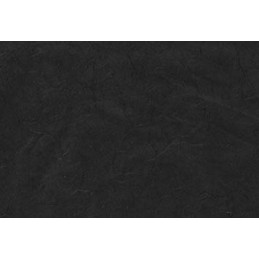 Papel de Arroz Negro 50 x 70