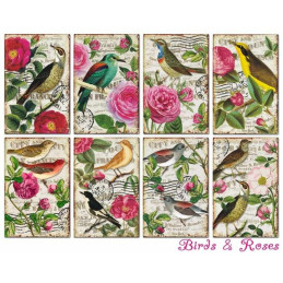 Mini Kit de papeles 10,8 x 7 cm. Birds & Roses - Decorer