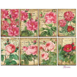 Mini Kit de papeles 10,8 x 7 cm. Roses - Decorer
