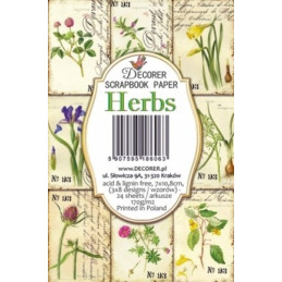 Mini Kit de papeles 10,8 x 7 cm. Herbs - Decorer