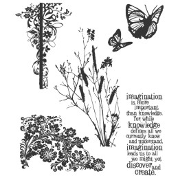 Kit de sellos de Tim Holtz - Nature's Discovery