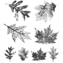Kit de sellos de Tim Holtz - Falling Leaves