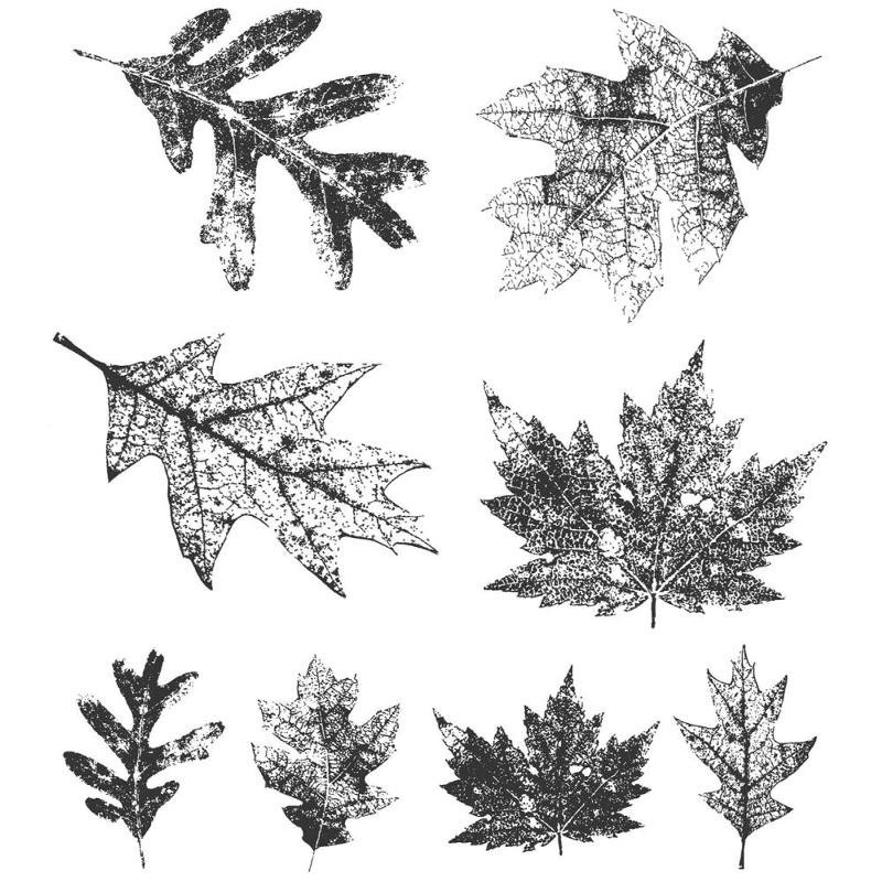 Kit de sellos de Tim Holtz - Falling Leaves
