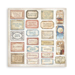 Kit de papeles de Scrapbooking 20 x 20 cm. Stamperia - Vintage Library by Cristina Radovan