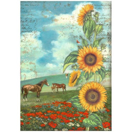 Papel de arroz A4  Sunflower Art and horses - Stamperia