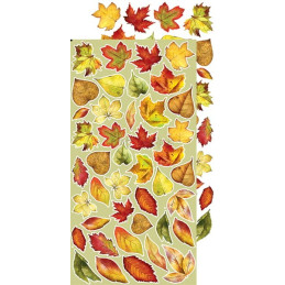 Craft O'Clock Kit de papeles Extras Set Autumn Beauty Extras Set - Flowers 15.5 x 30.5 cm.