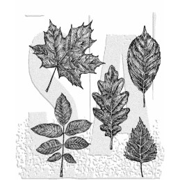 Kit de Sellos de Tim Holtz - Sketchy Leaves