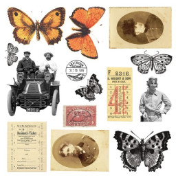 Kit de papeles 30 x 30 Butterfly Effect by Finnabair
