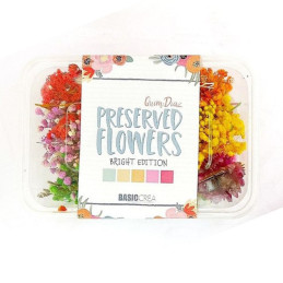 Preserved Flowers Bright...