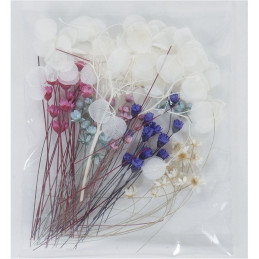 Kit de flores secas variadas